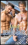 Gay Behind Bars: Two Story Annotated Compilation. E-book. Formato EPUB ebook di Barry Dunn
