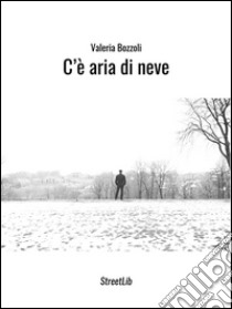 C'è aria di neve. E-book. Formato PDF ebook di Valeria Bozzoli