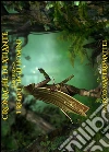 I regni degli uomini. E-book. Formato EPUB ebook di Marco Mastromattei