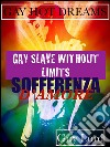 Gay slave without limits-Sofferenza d'amore.. E-book. Formato EPUB ebook di Guy Lord