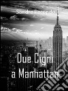 Due cigni a Manhattan. E-book. Formato Mobipocket ebook