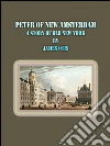 Peter of New Amsterdam: A Story of Old New York. E-book. Formato EPUB ebook di James Otis