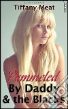 Pummeled by daddy & the blacks. E-book. Formato EPUB ebook di Tiffany Meat