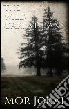 The wild carpathians. E-book. Formato Mobipocket ebook di Mór Jókai
