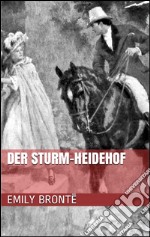 Der Sturm-Heidehof. E-book. Formato EPUB ebook