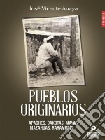 Pueblos originarios Apaches, dakotas, mayas y mazahuas.... E-book. Formato EPUB ebook