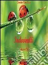 Il piccolo libro degli indovinelli. E-book. Formato EPUB ebook di Daniela Elena Luca