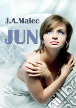 Jun. E-book. Formato PDF