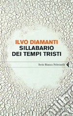 Sillabario dei tempi tristi. E-book. Formato PDF ebook