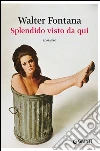 Splendido visto da qui. E-book. Formato PDF ebook di Walter Fontana