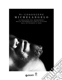 Ri-conoscere Michelangelo: La scultura del Buonarroti nella fotografia e nella pittura dall'Ottocento a oggi.. E-book. Formato PDF ebook