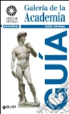 Galería de la Academia: Guía oficial. E-book. Formato PDF ebook