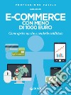 E-commerce con meno di 1000 euro: Come aprire un sito e renderlo redditizio. E-book. Formato EPUB ebook