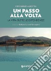 Un passo alla volta: La vita oltre le dipendenze. E-book. Formato EPUB ebook di Vincenzo Aliotta