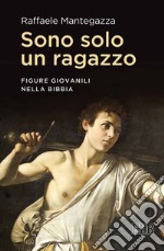 Sono solo un ragazzo: Figure giovanili nella Bibbia. E-book. Formato EPUB ebook