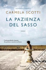 La pazienza del sasso. E-book. Formato EPUB ebook