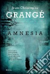 Amnesia. E-book. Formato PDF ebook