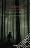 La montagna di sale. E-book. Formato EPUB ebook di Peter Handke
