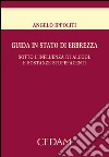 Guida in stato di ebbrezza. Sotto l'influenza di alcool e sostanze stupefacenti. E-book. Formato EPUB ebook