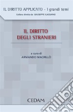 Il diritto degli stranieri. E-book. Formato EPUB