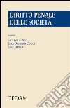 Diritto penale delle società. E-book. Formato EPUB ebook di Giovanni Canzio