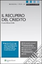 Il recupero del credito. E-book. Formato PDF ebook