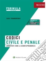 Codici Civile e Penale annotati con la giurisprudenza 2021. E-book. Formato PDF