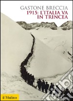 1915: l'Italia va in trincea. E-book. Formato EPUB