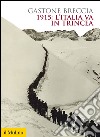 1915: l'Italia va in trincea. E-book. Formato EPUB ebook