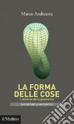 La forma delle cose: L'alfabeto della geometria. E-book. Formato EPUB ebook