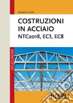 Costruzioni in acciaio: NTC2018, EC3, EC8. E-book. Formato EPUB ebook