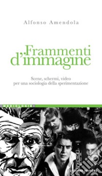 Frammenti d’immagine: Scene, schermi, video per una sociologia della sperimentazione. E-book. Formato PDF ebook di Alfonso Amendola