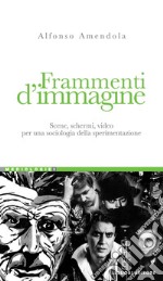 Frammenti d’immagine: Scene, schermi, video per una sociologia della sperimentazione. E-book. Formato PDF ebook