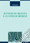 Sentieri di crescita e cluster di imprese. E-book. Formato PDF ebook di Fabrizio Antolini
