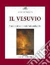 Il Vesuvio: Storia eruttiva e teorie vulcanologiche. E-book. Formato PDF ebook