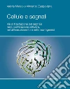 Cellule e Segnali: Vie di trasduzione del segnale nella proliferazione cellulare, nel differenziamento e nella morfogenesi. E-book. Formato PDF ebook di Valeria Marigo