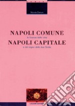 Napoli comune, Napoli capitale: Le finanze della città e del Regno delle due Sicilie. E-book. Formato PDF ebook