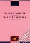 Napoli comune, Napoli capitale: Le finanze della città e del Regno delle due Sicilie. E-book. Formato PDF ebook