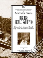 Risorse per lo sviluppo: L’industria elettrica meridionale dagli esordi alla nazionalizzazione. E-book. Formato PDF ebook