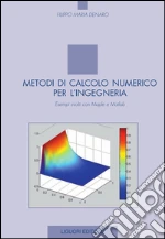 Metodi di calcolo numerico per l’ingegneria: Esempi svolti con Maple e Matlab. E-book. Formato PDF
