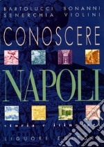 Conoscere Napoli: Storia e itinerari. E-book. Formato PDF