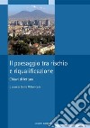 Il paesaggio tra rischio e riqualificazione: Chiavi di lettura  a cura di Elvira Petroncelli. E-book. Formato PDF ebook