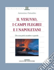 Il Vesuvio, i Campi Flegrei e i Napoletani: Cosa potrà accadere e quando. E-book. Formato PDF ebook di Antonino Palumbo