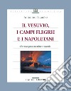 Il Vesuvio, i Campi Flegrei e i Napoletani: Cosa potrà accadere e quando. E-book. Formato PDF ebook