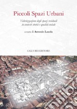 Piccoli Spazi Urbani: Valorizzazione degli spazi residuali in contesti storici e qualità  sociali  a cura di Antonio Lauria. E-book. Formato PDF