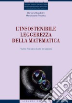 L’insostenibile leggerezza della matematica: Piume frattali e bolle di sapone. E-book. Formato PDF ebook