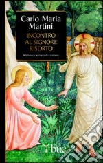 Incontro al Signore risorto. Il cuore dello spirito cristiano. E-book. Formato EPUB ebook