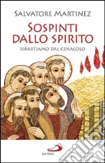 Sospinti dallo Spirito. Ripartiamo dal Cenacolo. E-book. Formato EPUB ebook