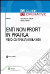 Enti non profit in pratica. E-book. Formato PDF ebook di Gian Mario Colombo