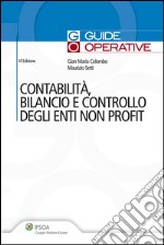 Contabilità, bilancio e controllo degli enti non profit. E-book. Formato PDF ebook